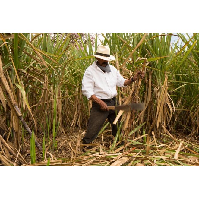 PANELA AZÚCAR DE CAÑA - AZUCARERA (3x 125g) COLOMBIA