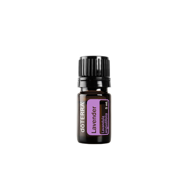 INTRO ESSENTIAL OILS KIT - ÄTHERISCHE ÖLE - AROMATHERAPIE