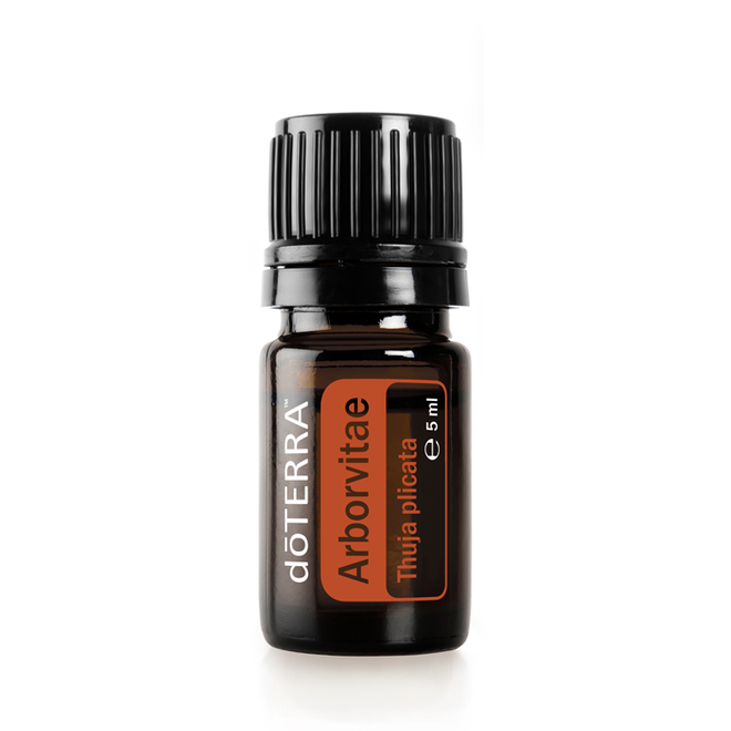 LEBENSBAUM (ARBOVITAE)  ESSENTIAL OIL - ÄTHERISCHE ÖL -5ml