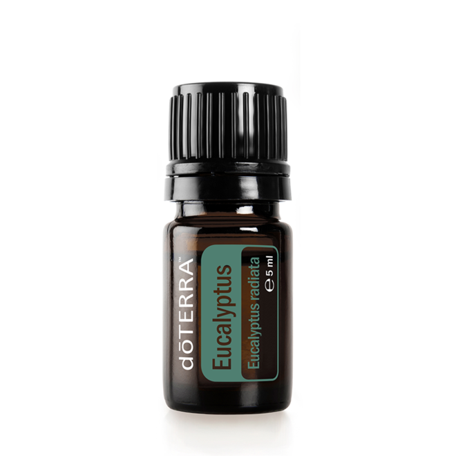 EUCALYPTUS  ESSENTIAL OIL - 15ml