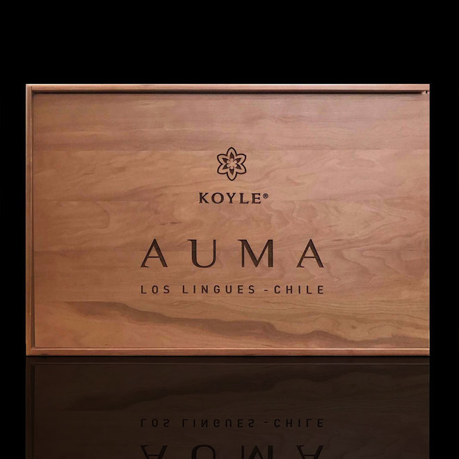 AUMA ENSAMBLAJE - 6x BOTELLAS - 0,75L - CAJA DE MADERA - 2015 - CHILE