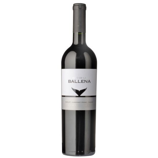 PREMIUM BLEND TANNAT-MERLOT-CABERNET FRANC - URUGUAY 2013