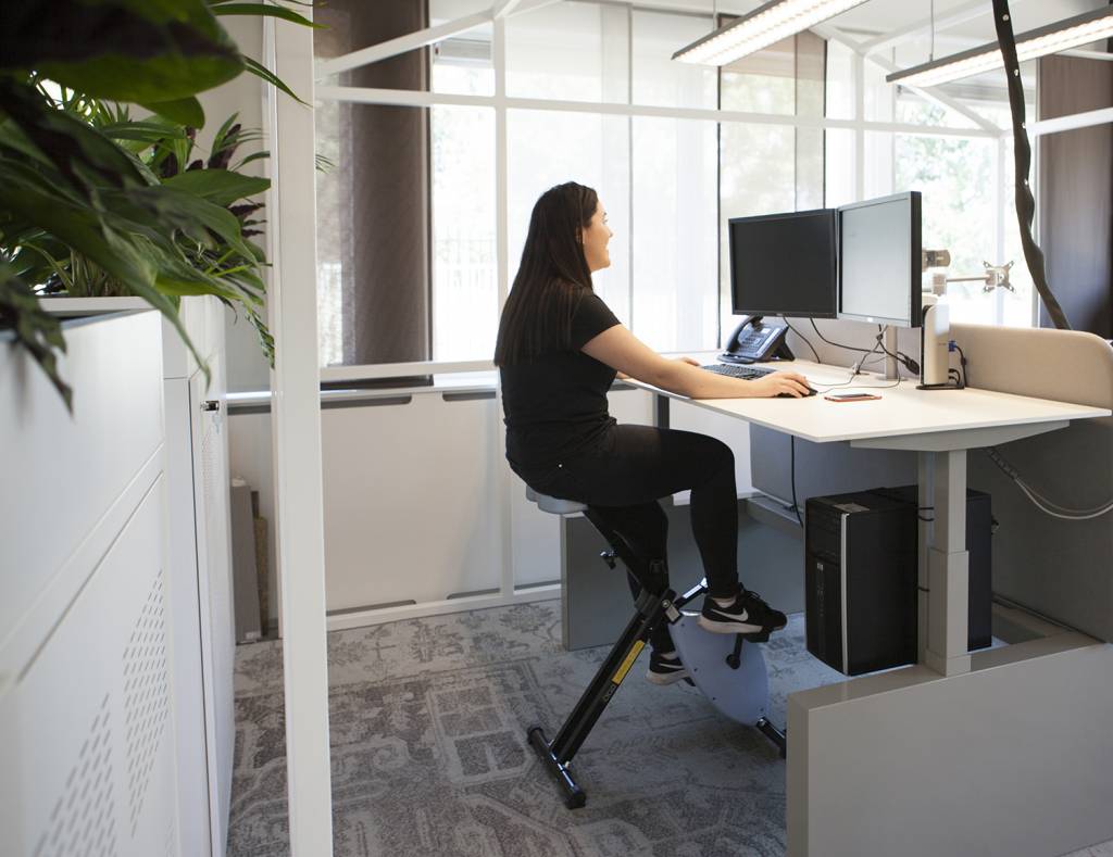 Schaffenburg Cyclo Deskbike