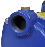 vidaXL Jet Waterpomp 1300 W 5100 L/u blauw