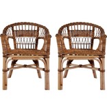 VidaXL Tuinstoelen 2 st natuurlijk rattan bruin
