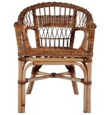 VidaXL Tuinstoelen 2 st natuurlijk rattan bruin