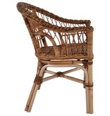 VidaXL Tuinstoelen 2 st natuurlijk rattan bruin