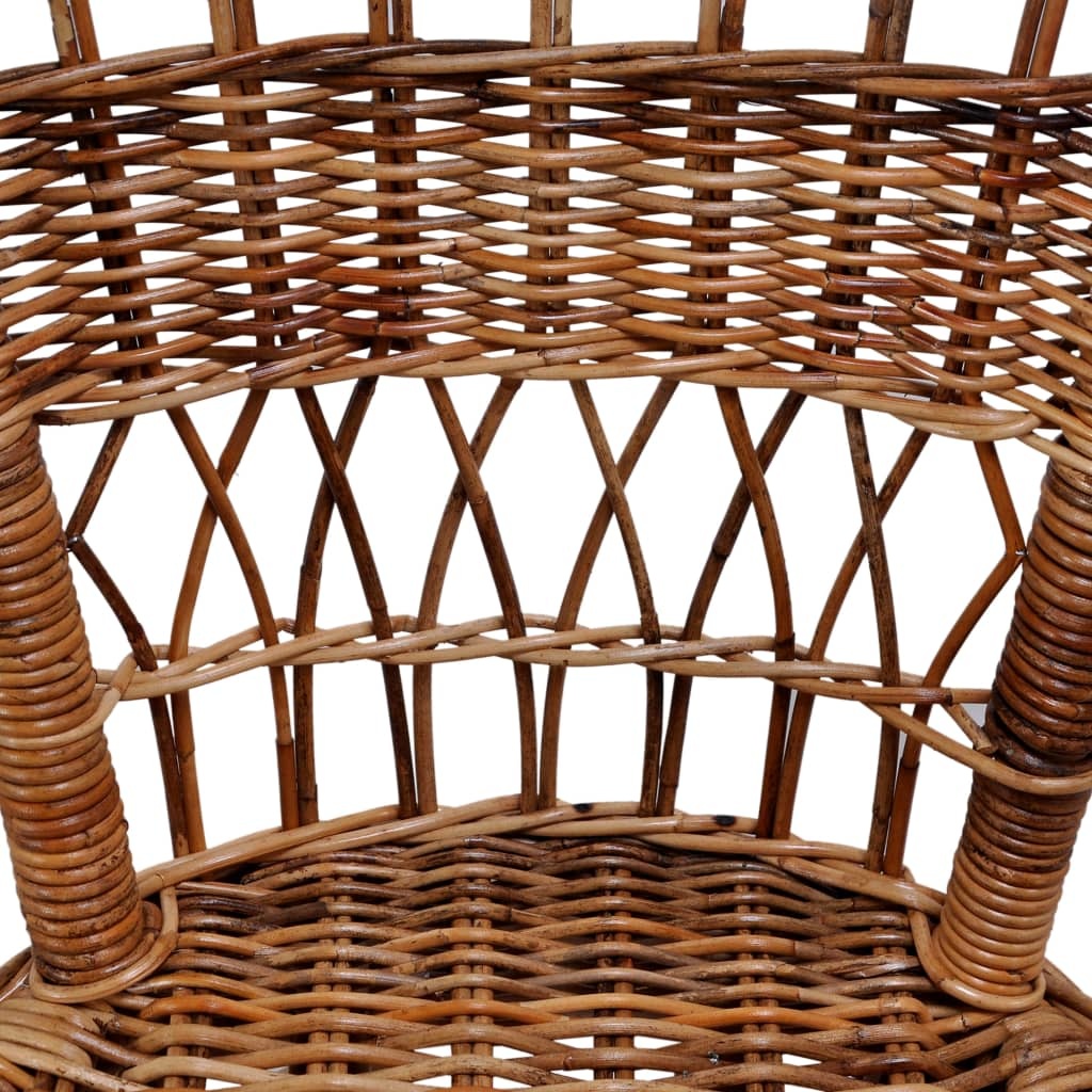 VidaXL Tuinstoelen 2 st natuurlijk rattan bruin