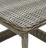 VidaXL 2-delige Loungeset met kussens poly rattan bruin