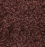 VidaXL 15 st Trapmatten 65x25 cm bruin