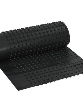 VidaXL Afvoerfolie noppen 400 g/m² 0,5x20 m HDPE