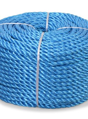 vidaXL Touw gedraaid 10 mm 100 m polypropyleen blauw