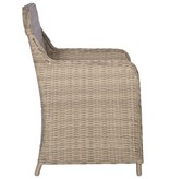 vidaXL Tuinstoelen met kussens 2 st poly rattan bruin