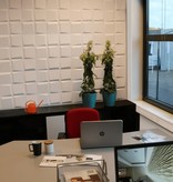 VidaXL 3D Wandpanelen Oberon 12 stuks GA-WA21