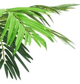 vidaXL Kunstboom met pot phoenixpalm 190 cm groen