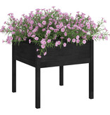 VidaXL Plantenbak 70x70x70 cm massief grenenhout zwart