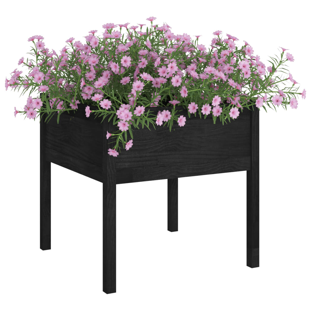 VidaXL Plantenbak 70x70x70 cm massief grenenhout zwart