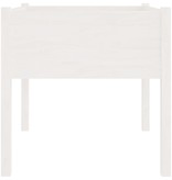 VidaXL Plantenbak 70x70x70 cm massief grenenhout wit