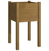 VidaXL Plantenbakken 2 st 40x40x70 cm massief grenenhout honingbruin