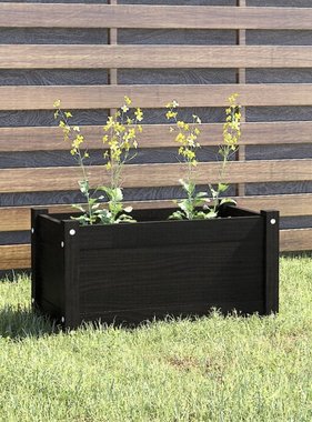 vidaXL Plantenbak 60x31x31 cm massief grenenhout zwart