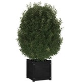 vidaXL Plantenbak 40x40x40 cm massief grenenhout zwart