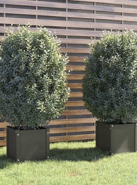 vidaXL Plantenbakken 2 st 40x40x40 cm massief grenenhout grijs