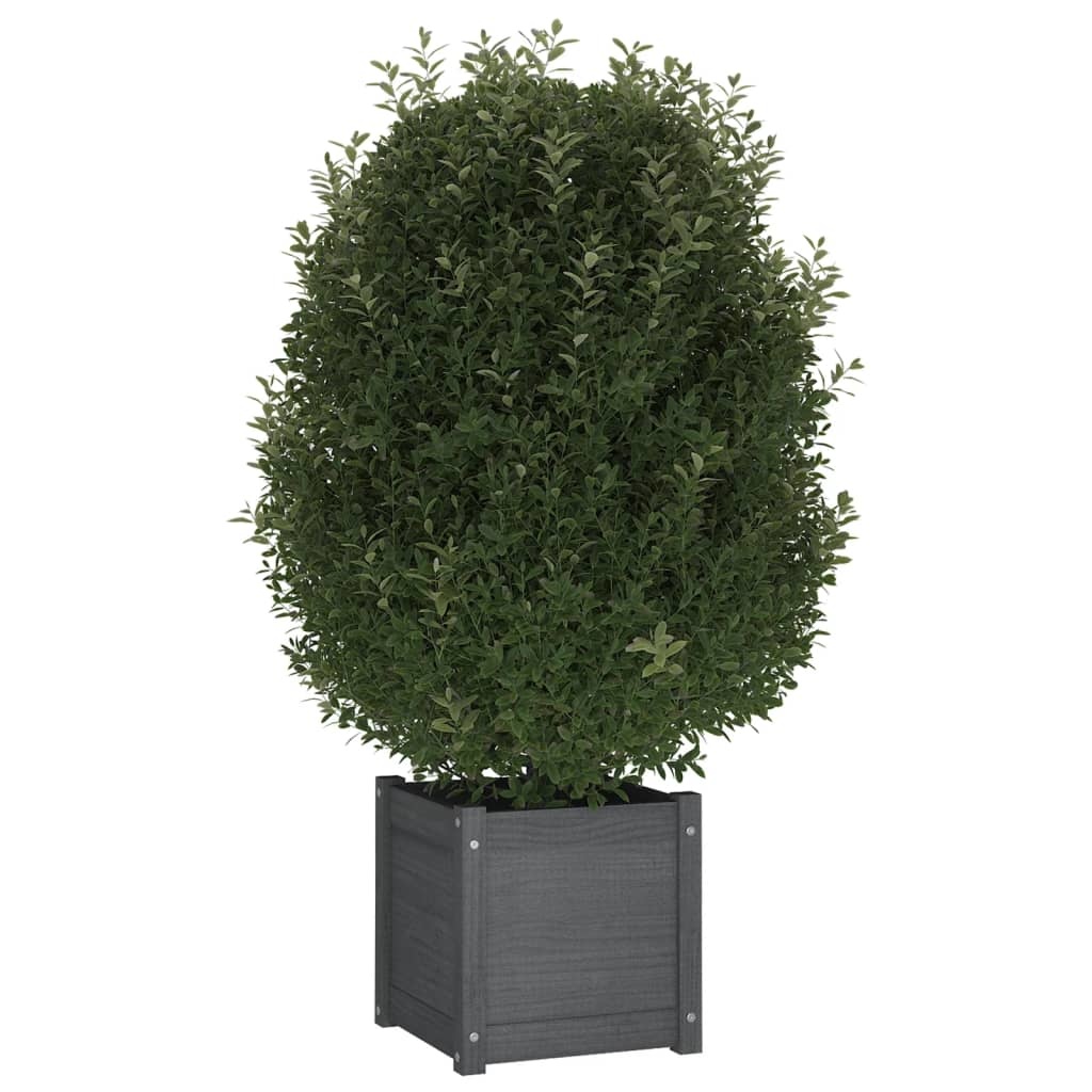 vidaXL Plantenbak 40x40x40 cm massief grenenhout grijs