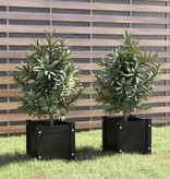VidaXL Plantenbakken 2 st 31x31x31 cm massief grenenhout zwart