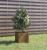 VidaXL Plantenbak 31x31x31 cm massief grenenhout honingbruin