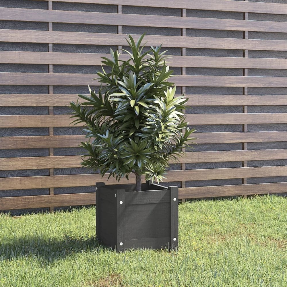 VidaXL Plantenbak 31x31x31 cm massief grenenhout grijs