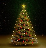 vidaXL Kerstboom netverlichting met 210 LED's IP44 210 cm