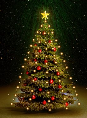 vidaXL Kerstboom netverlichting met 210 LED's IP44 210 cm