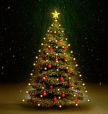 vidaXL Kerstboom netverlichting met 150 LED's IP44 150 cm