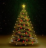 VidaXL Kerstboom netverlichting met 150 LED's IP44 150 cm