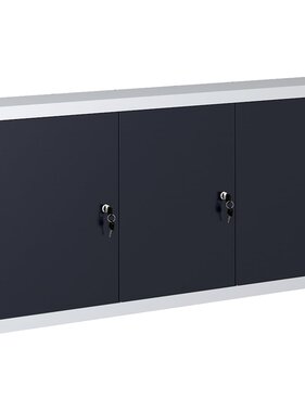 VidaXL Gereedschapskast voor aan de wand metaal grijs en zwart