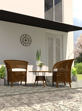 VidaXL Luifel uittrekbaar 400x150 cm antraciet