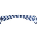 VidaXL Luifel 300x120 cm blauw en wit