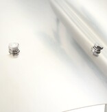 VidaXL Schoorsteenkap roestvrij staal zilverkleurig