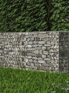 VidaXL Gabion mand 200x50x100 cm gegalvaniseerd staal