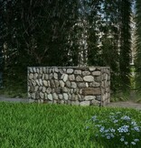 VidaXL Gabion mand 100x50x50 cm gegalvaniseerd staal