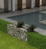 VidaXL Gabion mand 120x30x50 cm gegalvaniseerd staal