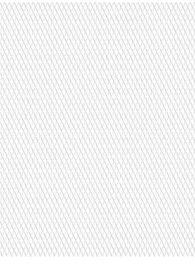 VidaXL Draadhek 50x50 cm 45x20x4 mm roestvrij staal