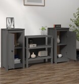 VidaXL Dressoirs 2 st 40x35x80 cm massief grenenhout grijs