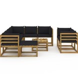 VidaXL 10-delige Loungeset met zwarte kussens