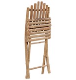 VidaXL Tuinstoelen 2 st inklapbaar met kussens bamboe