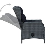 VidaXL 9-delige Tuinset met kussens poly rattan donkergrijs