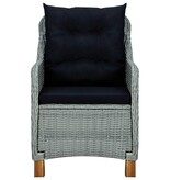 VidaXL 9-delige Tuinset met kussens poly rattan lichtgrijs