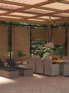 VidaXL 11-delige Tuinset poly rattan bruin