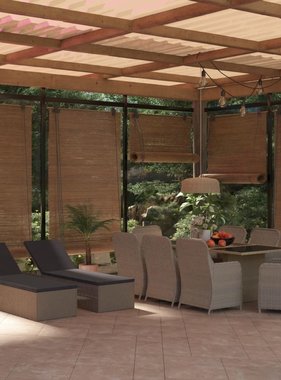 VidaXL 11-delige Tuinset poly rattan bruin