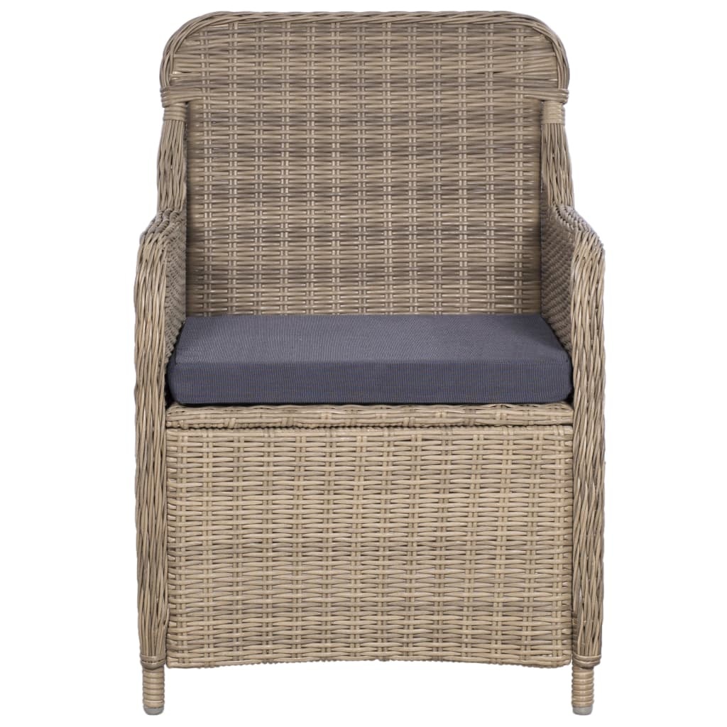 VidaXL 11-delige Tuinset poly rattan bruin